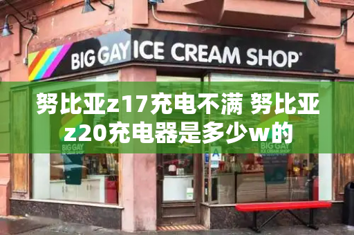 努比亚z17充电不满 努比亚z20充电器是多少w的