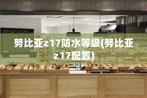 努比亚z17防水等级(努比亚z17配置)