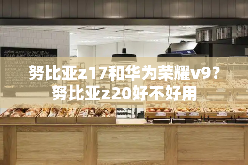 努比亚z17和华为荣耀v9？努比亚z20好不好用-第1张图片-星选测评