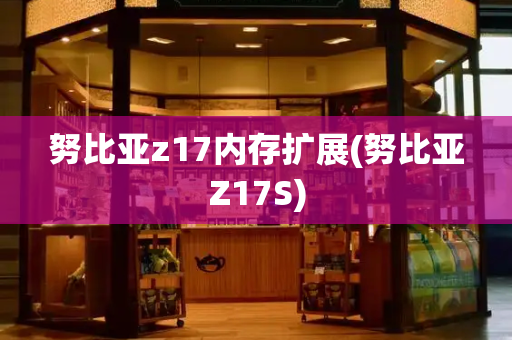 努比亚z17内存扩展(努比亚Z17S)-第1张图片-星选测评