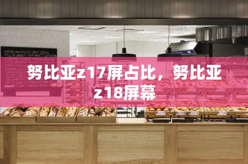 努比亚z17屏占比，努比亚z18屏幕