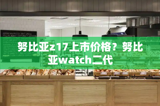 努比亚z17上市价格？努比亚watch二代