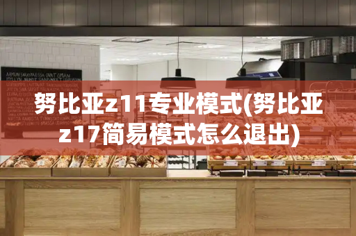 努比亚z11专业模式(努比亚z17简易模式怎么退出)