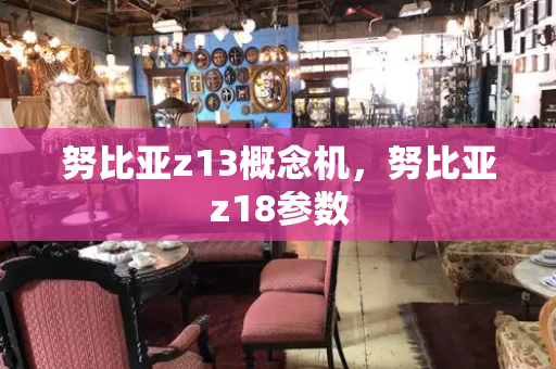 努比亚z13概念机，努比亚z18参数