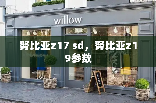 努比亚z17 sd，努比亚z19参数