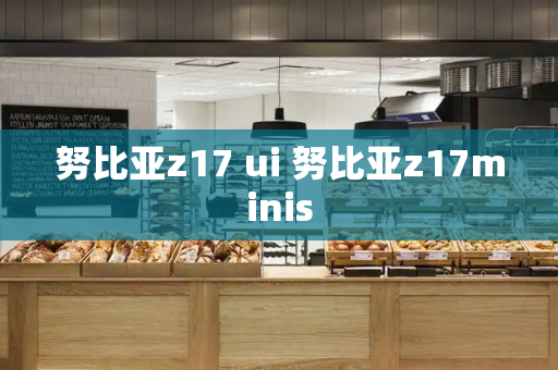 努比亚z17 ui 努比亚z17minis-第1张图片-星选测评