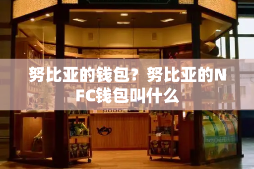 努比亚的钱包？努比亚的NFC钱包叫什么-第1张图片-星选测评