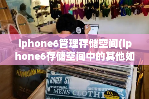 iphone6管理存储空间(iphone6存储空间中的其他如何清理)-第1张图片-星选测评