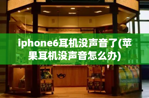 iphone6耳机没声音了(苹果耳机没声音怎么办)-第1张图片-星选测评