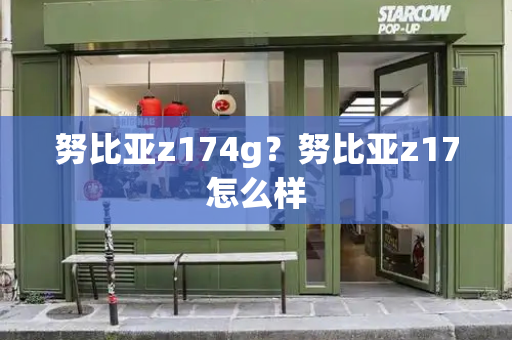 努比亚z174g？努比亚z17怎么样-第1张图片-星选测评