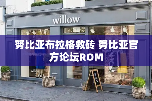 努比亚布拉格救砖 努比亚官方论坛ROM