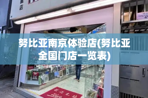 努比亚南京体验店(努比亚全国门店一览表)-第1张图片-星选测评