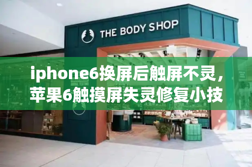 iphone6换屏后触屏不灵，苹果6触摸屏失灵修复小技巧大全-第1张图片-星选测评