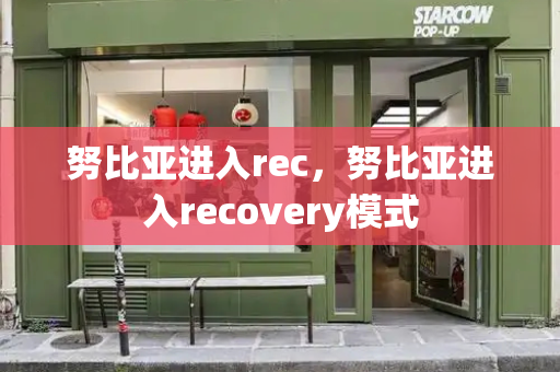 努比亚进入rec，努比亚进入recovery模式