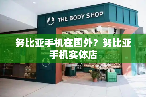 努比亚手机在国外？努比亚手机实体店-第1张图片-星选测评