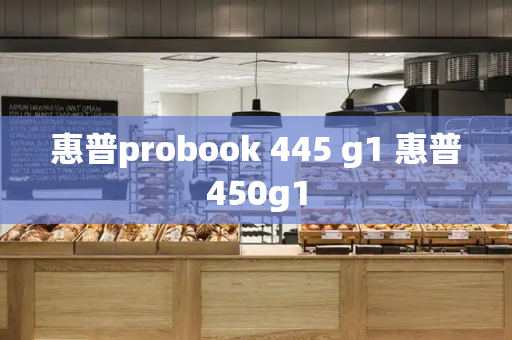 惠普probook 445 g1 惠普450g1