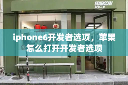 iphone6开发者选项，苹果怎么打开开发者选项-第1张图片-星选测评