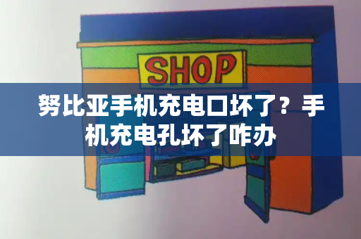 努比亚手机充电口坏了？手机充电孔坏了咋办-第1张图片-星选测评