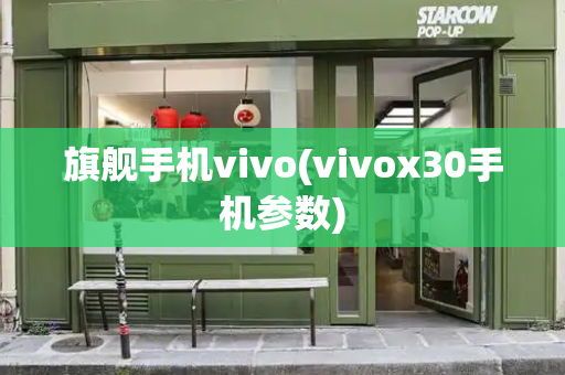 旗舰手机vivo(vivox30手机参数)-第1张图片-星选测评