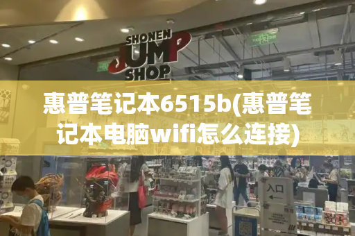 惠普笔记本6515b(惠普笔记本电脑wifi怎么连接)-第1张图片-星选值得买