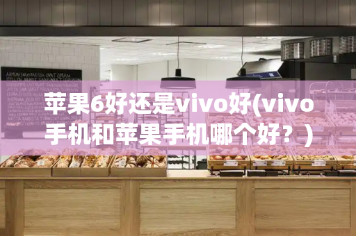 苹果6好还是vivo好(vivo手机和苹果手机哪个好？)