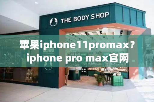 苹果iphone11promax？iphone pro max官网-第1张图片-星选测评