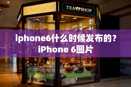 iphone6什么时候发布的？iPhone 6图片-第1张图片-星选测评