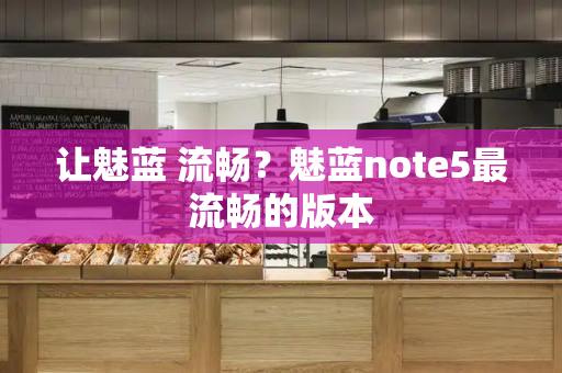让魅蓝 流畅？魅蓝note5最流畅的版本-第1张图片-星选测评
