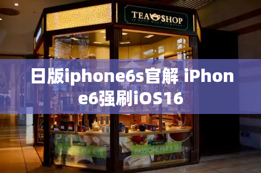 日版iphone6s官解 iPhone6强刷iOS16-第1张图片-星选测评