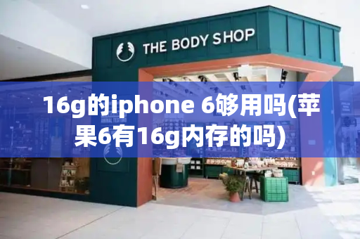 16g的iphone 6够用吗(苹果6有16g内存的吗)