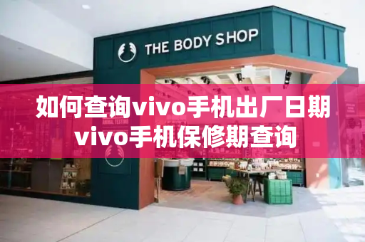 如何查询vivo手机出厂日期 vivo手机保修期查询-第1张图片-星选测评