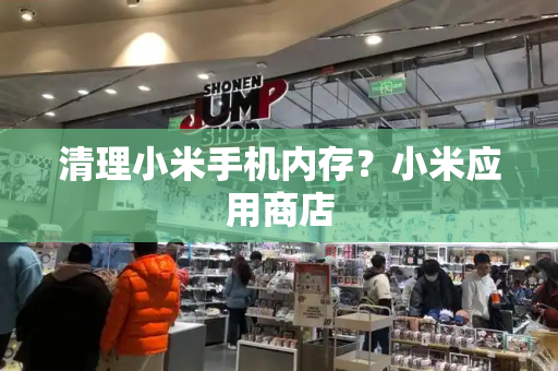 清理小米手机内存？小米应用商店-第1张图片-星选测评