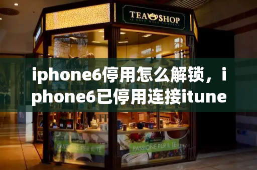 iphone6停用怎么解锁，iphone6已停用连接itunes如何开锁-第1张图片-星选测评