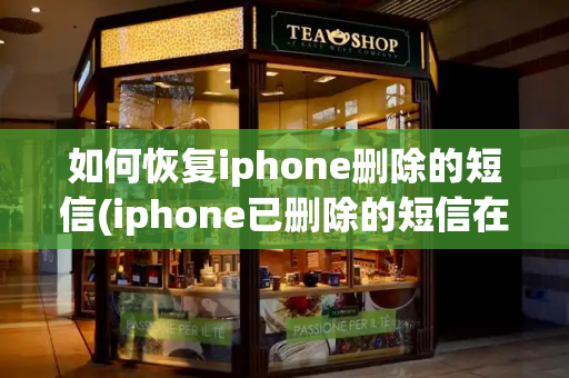 如何恢复iphone删除的短信(iphone已删除的短信在哪里找)-第1张图片-星选测评