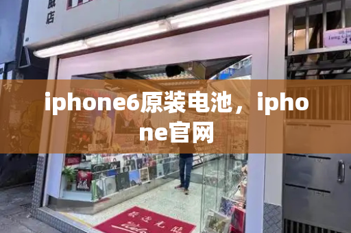 iphone6原装电池，iphone官网-第1张图片-星选测评