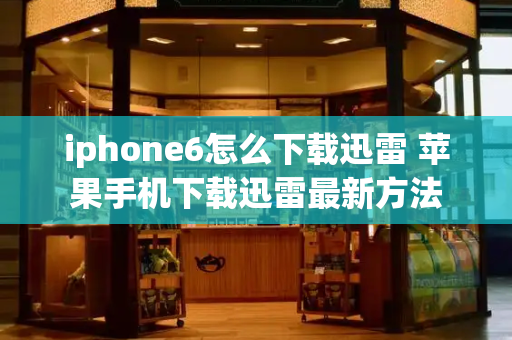 iphone6怎么下载迅雷 苹果手机下载迅雷最新方法-第1张图片-星选测评