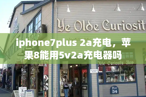 iphone7plus 2a充电，苹果8能用5v2a充电器吗-第1张图片-星选测评