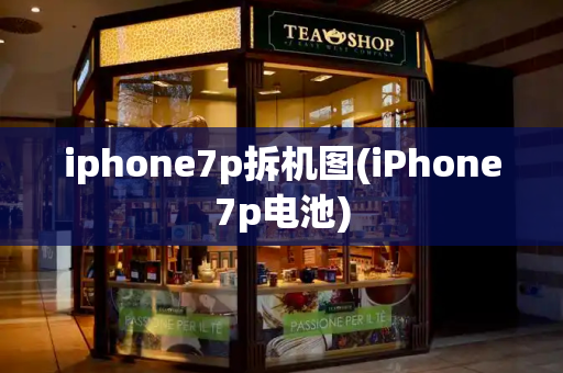 iphone7p拆机图(iPhone7p电池)